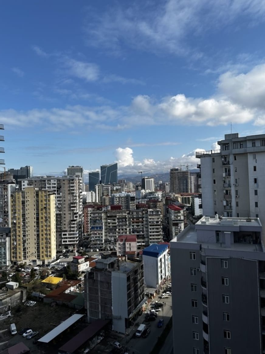 Mountain Veiw Apartment for Sale In Batumi 14