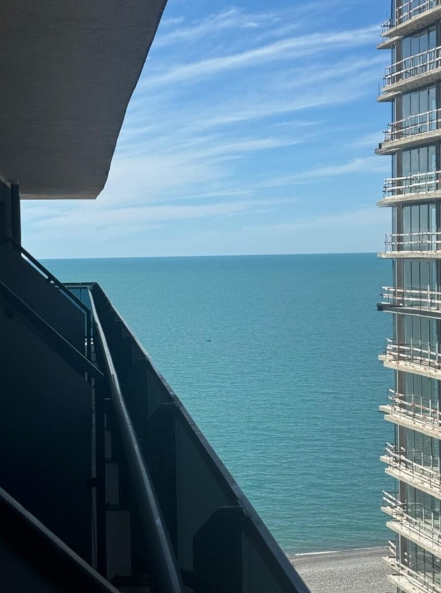 Spacious Balcony Apartment For Sale In Batumi 9