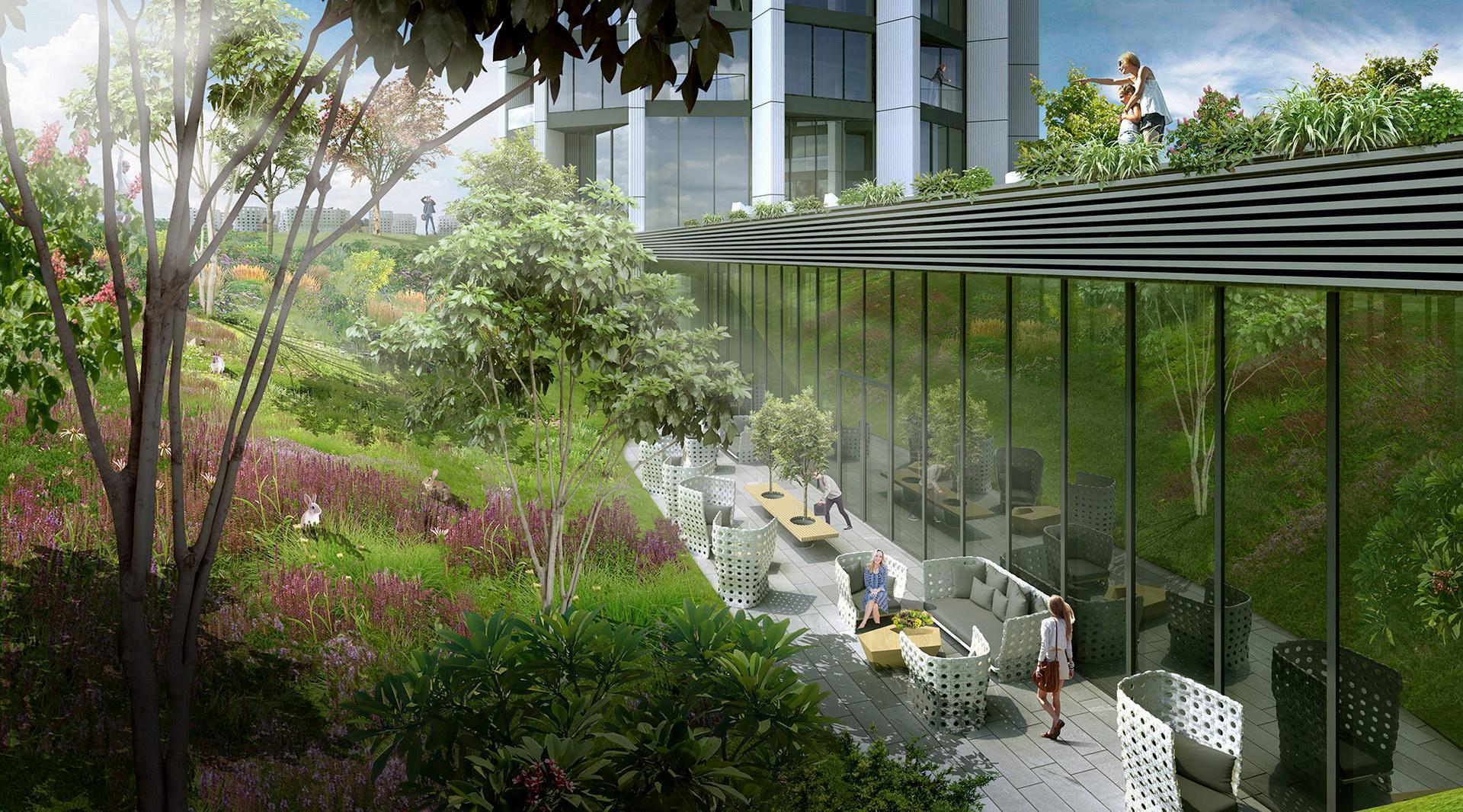 Alliance group highline (6)