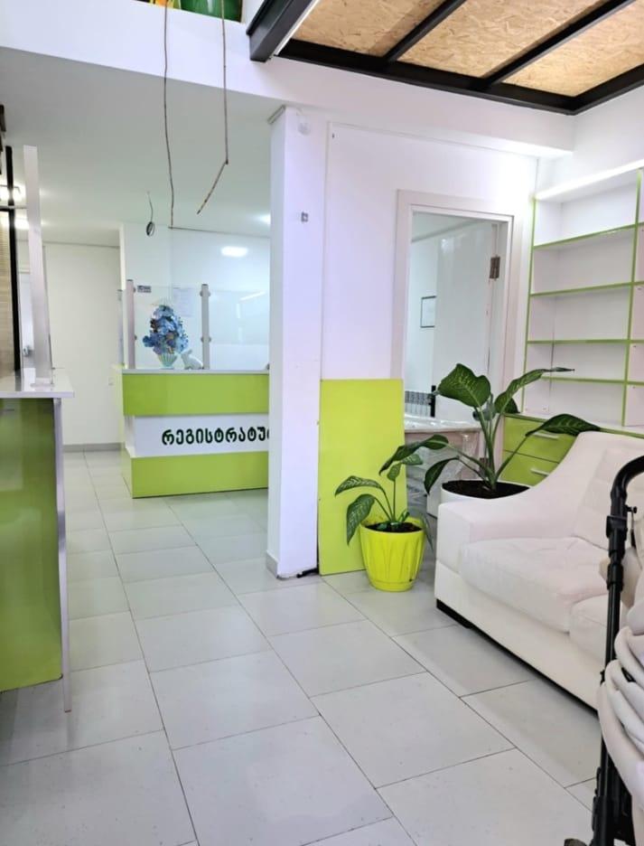 Ekvtime Taqaishvili Street (7)