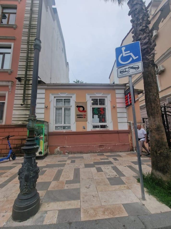 Konstantine Gamsakhurdia Street (1)