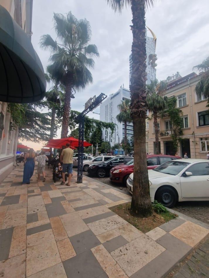 Konstantine Gamsakhurdia Street (4)